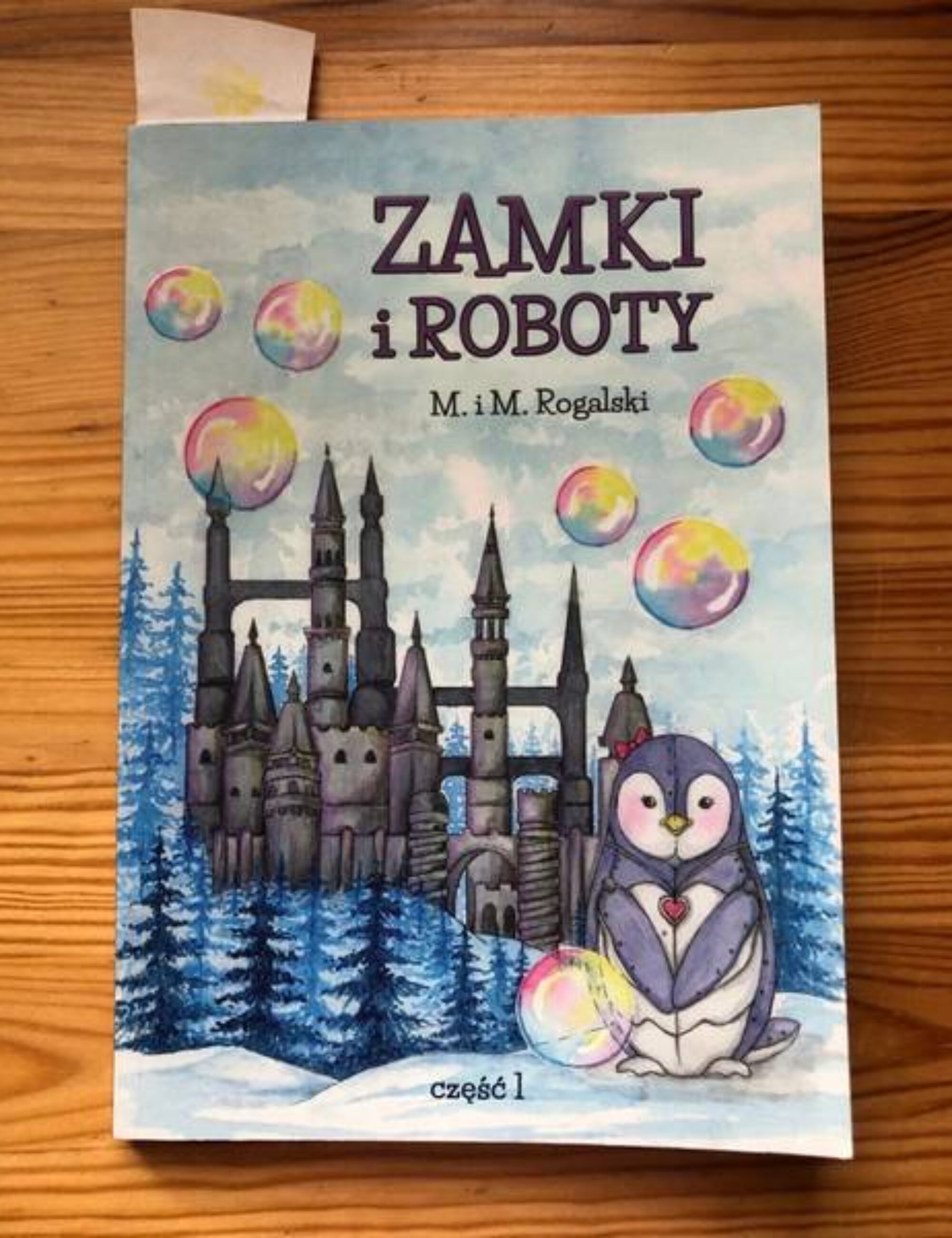 „Zamki i Roboty” – Mikołaj i Mateusz Rogalscy