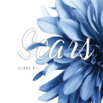 Scars – Aria M.