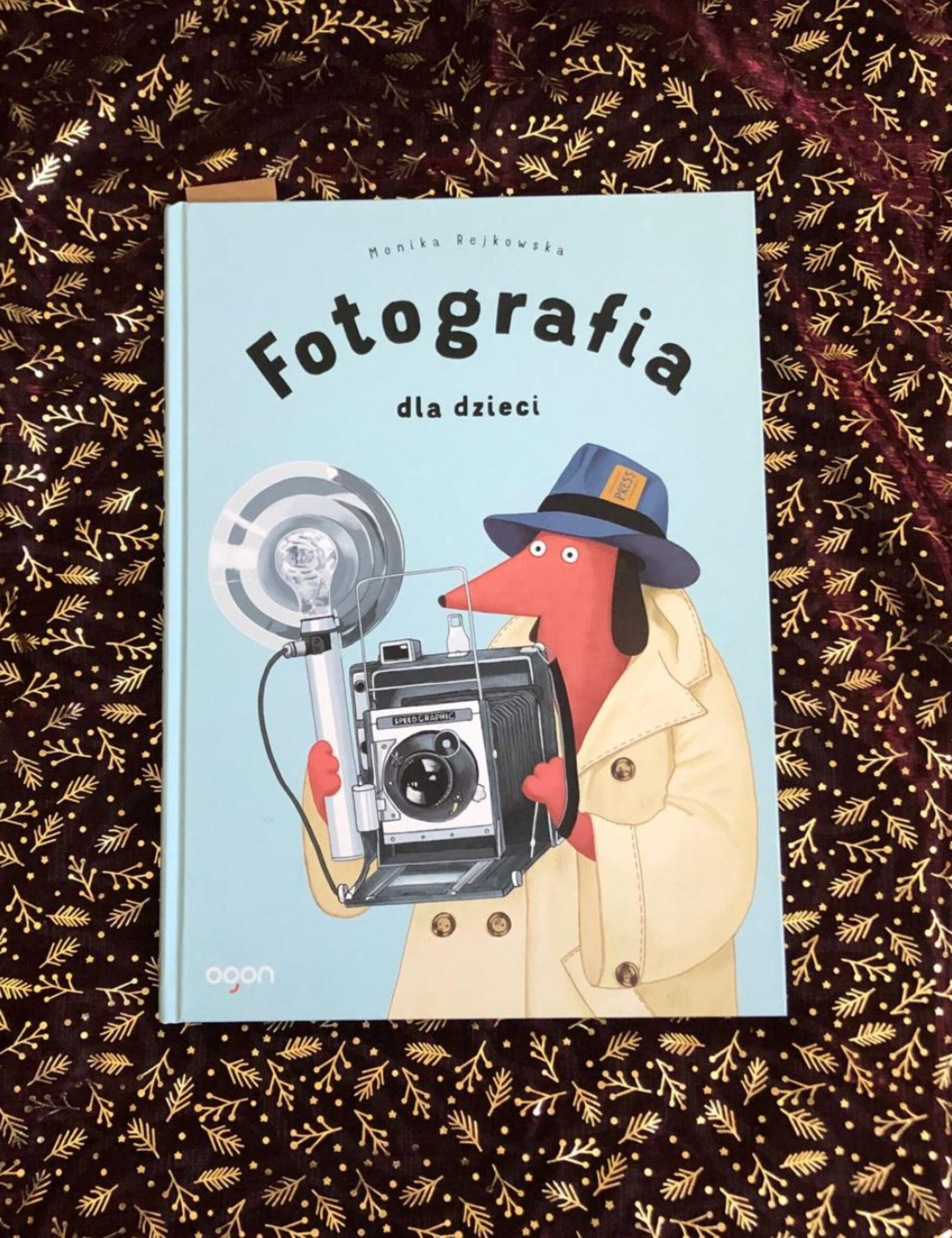 „Fotografia dla dzieci” – Monika Rejkowska