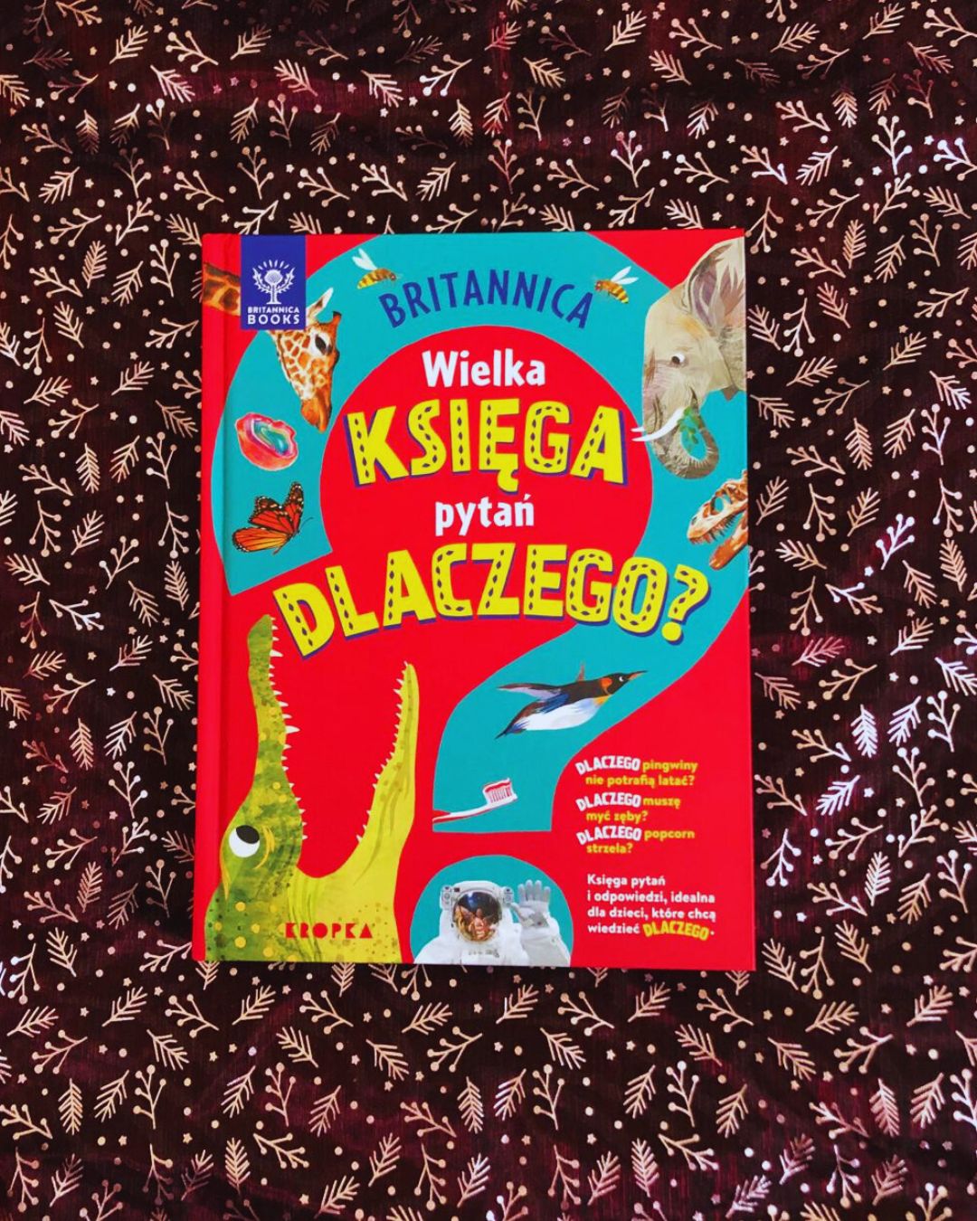 Okładka książki "Britannica. Wielka księga pytań dlaczego" - Sally Symes, Stephanie Warren Drimmer