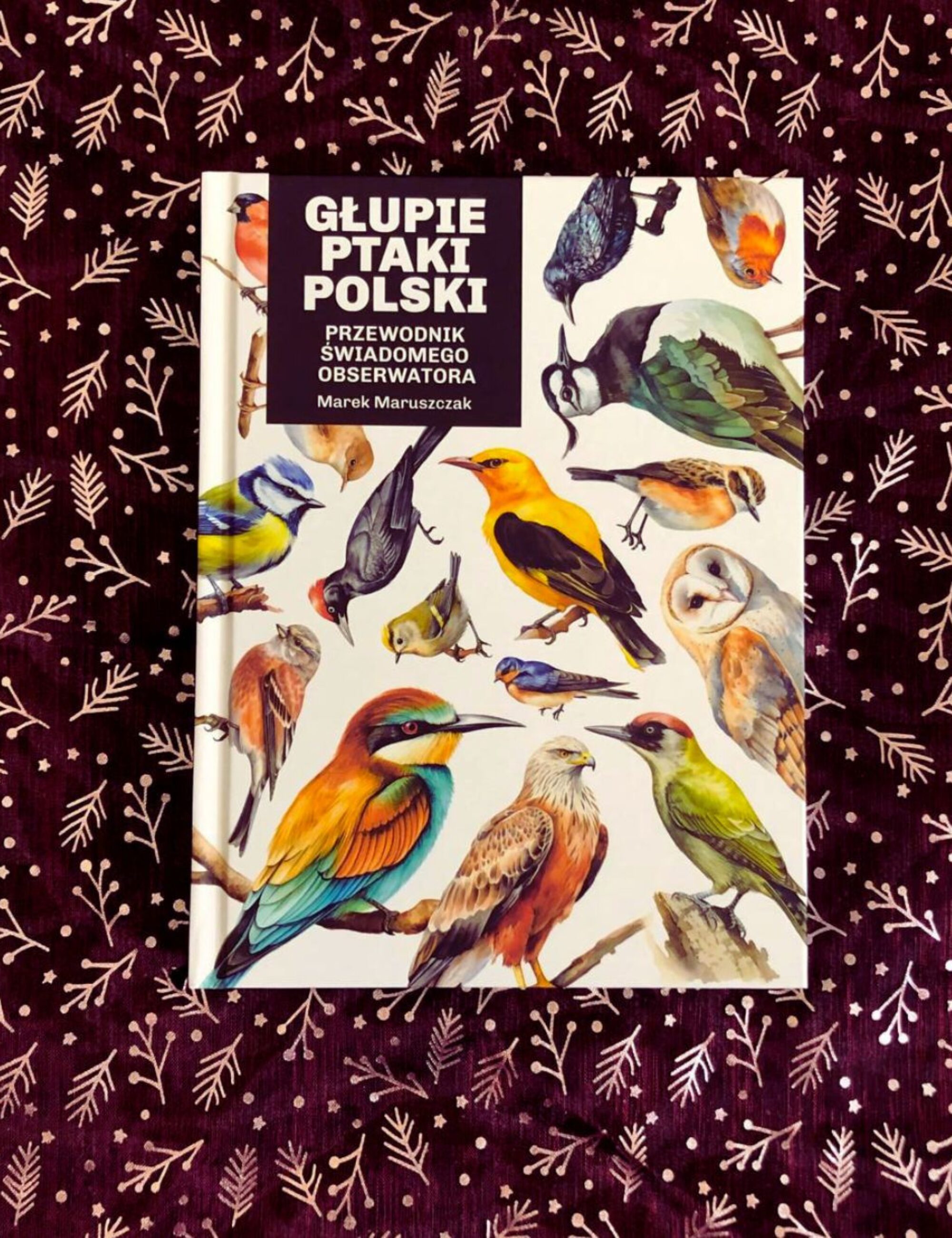 „Głupie ptaki Polski. Przewodnik świadomego obserwatora” – Marek Maruszczak