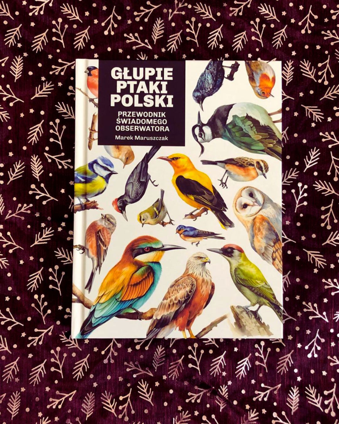 Okładka książki „Głupie ptaki Polski. Przewodnik świadomego obserwatora” – Marek Maruszczak